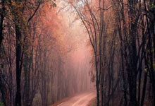 天涯论坛地震惊魂记：求生故事全揭秘