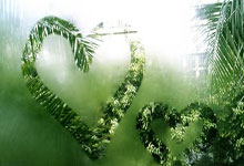 天涯论坛十大神贴盘点