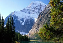 天涯论坛卷帘门配件妙趣多